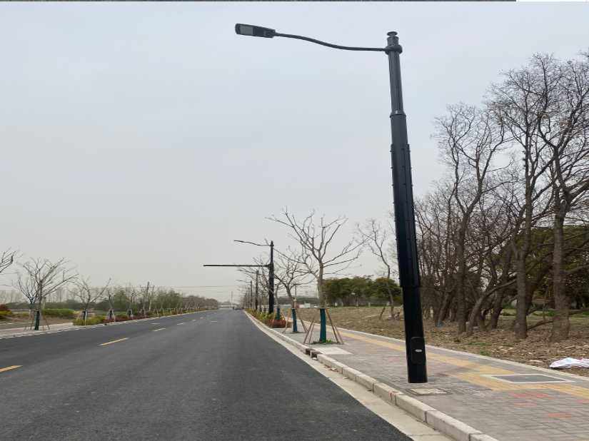 合作市上海综合杆 太阳能路灯工程